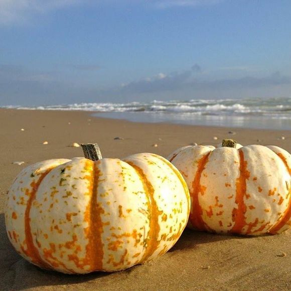 Meet your Posher, Carolyn - Picture 1 of 1